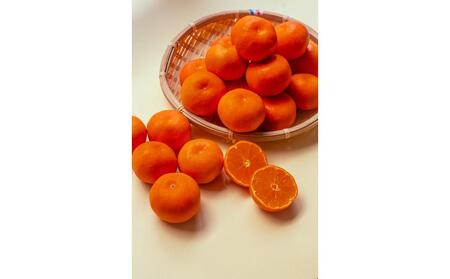 【11月下旬頃～発送】訳あり 小原紅早生みかん (大玉) 約5kg