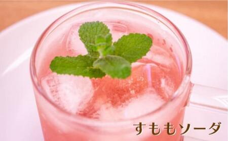 皮ごとすももシロップ 3本（250ml×3)【フルーツ シロップ すもも スモモ 香川県 さぬき市】
