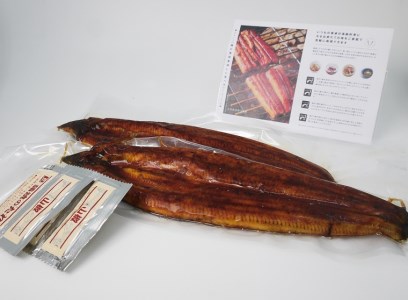 FK017_【12回定期便】九州産　うなぎ職人手焼き　蒲焼　国産　有頭鰻 1尾あたり約200ｇ×2尾（合計約400ｇ以上）たれ・山椒セット