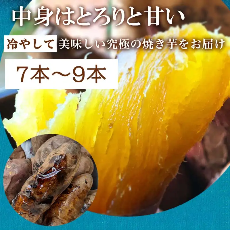 『先行予約』【11月上旬より順次発送】冷凍焼き芋 ハニープぺル(安納芋) 計1.2kg 桃山天下芋本舗