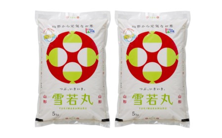 FYN9-878 【定期便3回】山形県 西川町産 無洗米 雪若丸 10kg(5kg×2)×3回 米 精米 米 こめ ゆきわかまる 甘み ブランド米 旨み 白米 節水 時短 月山