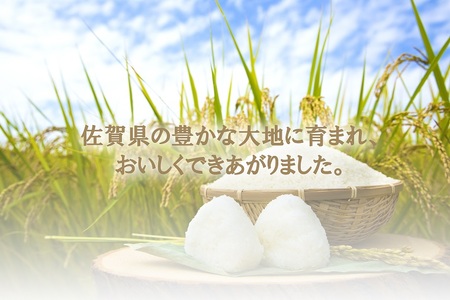 BF029_【令和７年度産新米】 茂安公米 5ｋｇ みやき町産 さがびより【2025年10月中旬過ぎより順次発送】