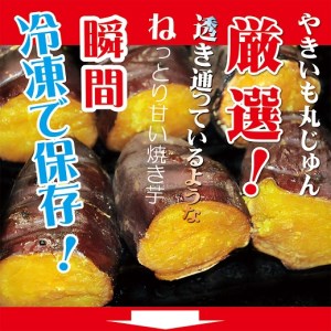 焼き芋 冷凍 冷やし焼き芋 シャリシャリちゃん 1kg(100g×10) 紅はるか＆シルクスイート H047-045