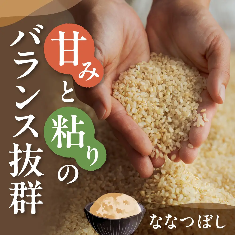 【令和8年度産米】玄米ななつぼし11kg | ななつぼし 玄米 米 コメ 北海道産 北海道 当別町