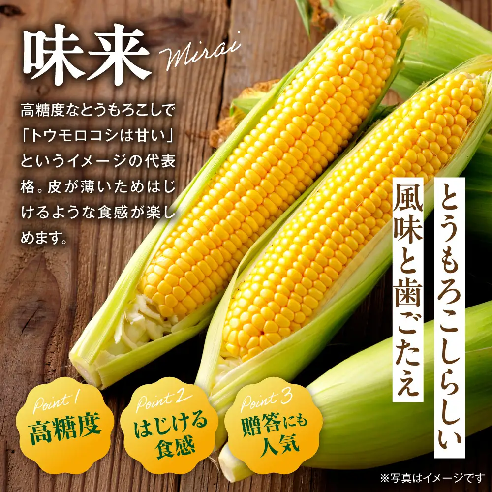 とうもろこし 30本  味来 北海道産トウモロコシ
