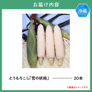 【2026年先行予約】森本農園 とうもろこし「雪の妖精」20本セット