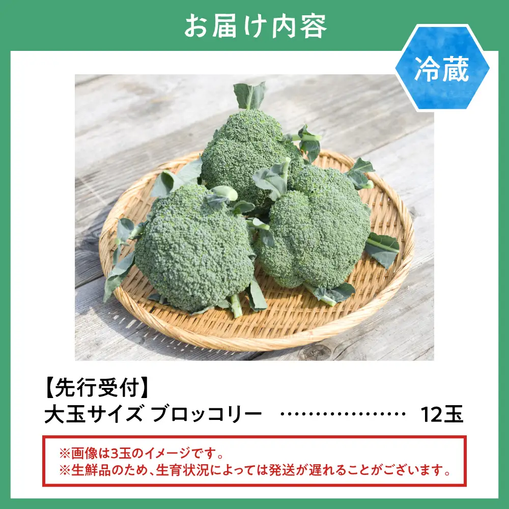 氷詰めブロッコリー縦置き12玉 大玉ぶろっこりー