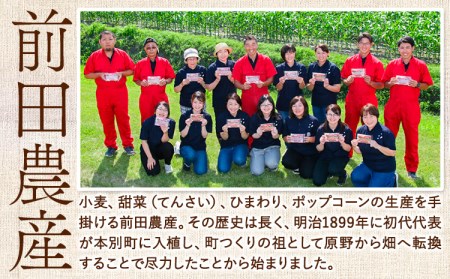 北海道十勝前田農産パン用小麦粉「春よ恋」1kg×10袋 計10袋 有限会社 十勝太陽ファーム 送料無料 北海道 本別町《60日以内に出荷予定(土日祝除く)》小麦粉小麦粉小麦粉小麦粉小麦粉