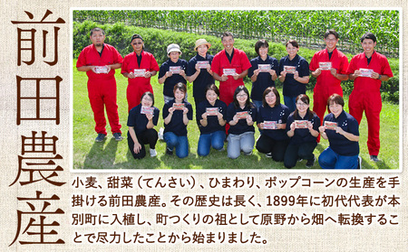 3ヶ月定期便 北海道十勝前田農産パン用小麦粉「春よ恋」5kg【3ヶ月】有限会社 十勝太陽ファーム 《お申込み月の翌月から出荷開始》小麦粉小麦粉小麦粉小麦粉小麦粉