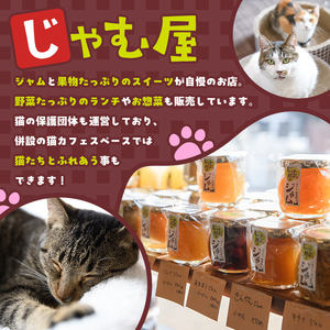 じゃむ屋のジャム詰め合わせギフトセット (2瓶) ジャム じゃむ 加工品 フルーツ 果物 果実 詰め合わせ 野菜 セット ギフト 贈答用 プレゼント 贈り物 食べ比べ お楽しみ 手づくり 手作り 朝食 常温 常温保存【じゃむ屋】as15-001