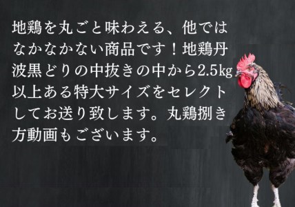 鶏肉 訳あり 地鶏丹波黒どり 丸どり 中抜き 丸1羽 約2.5kg 京都亀岡丹波山本 鶏肉 国産鶏肉 京都産鶏肉 亀岡産鶏肉 鶏肉