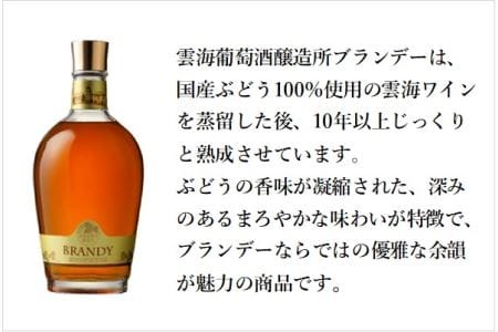 綾ブランデー 720ml 40度 国産 ブランデー 蒸留酒 洋酒 贈答 ギフト プレゼント 雲海ワイン 雲海葡萄酒醸造所 ブランデー【雲海酒造】_A0114-065