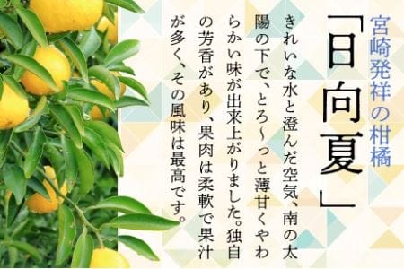 【先行受付】初春の旬「日向夏」種が少ない 2.5kg 果物 フルーツ くだもの 柑橘 フルーツサンド おやつ スイーツ デザート ジャム おすすめ ギフト 贈り物 贈答 プレゼント おすそ分け お返し 宮崎県 綾町 送料無料【JA綾町】_A0114-2421