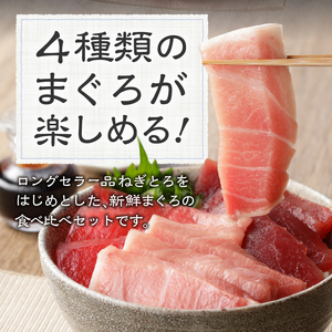 マグロ 大トロ 中トロ ねぎとろ 詰合せ セット S9 (a55-010)