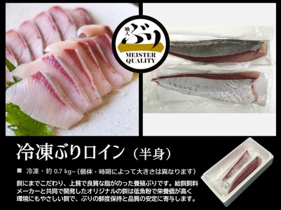 AQ-4707-202605／【鹿児島産ぶり】冷凍・ぶり皮無ロイン（背腹計2p）