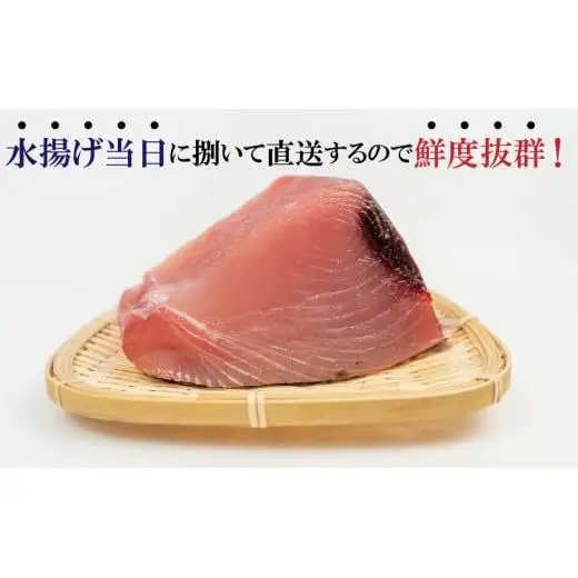 【 マグロ 】 【12月より順次発送】国産天然マグロ 2kg