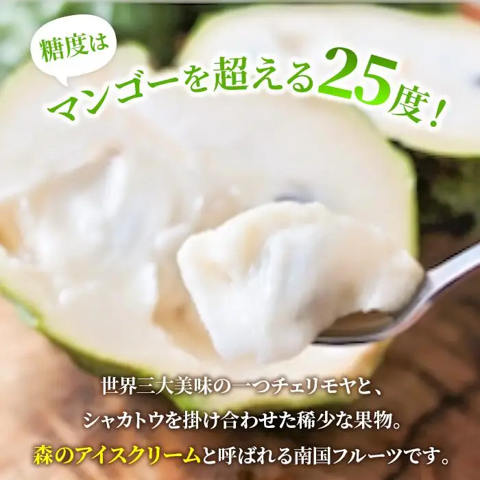 【2027年発送】宮古島産アテモヤ約1kg（２～６個入り）（CV07）