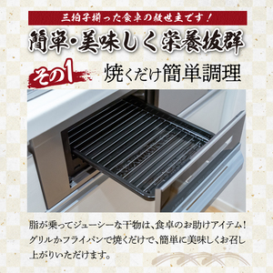 厳選干物 3種（連子鯛・ブリ・カマス）32枚 ／ 訳あり 干物 詰め合わせ【B139】