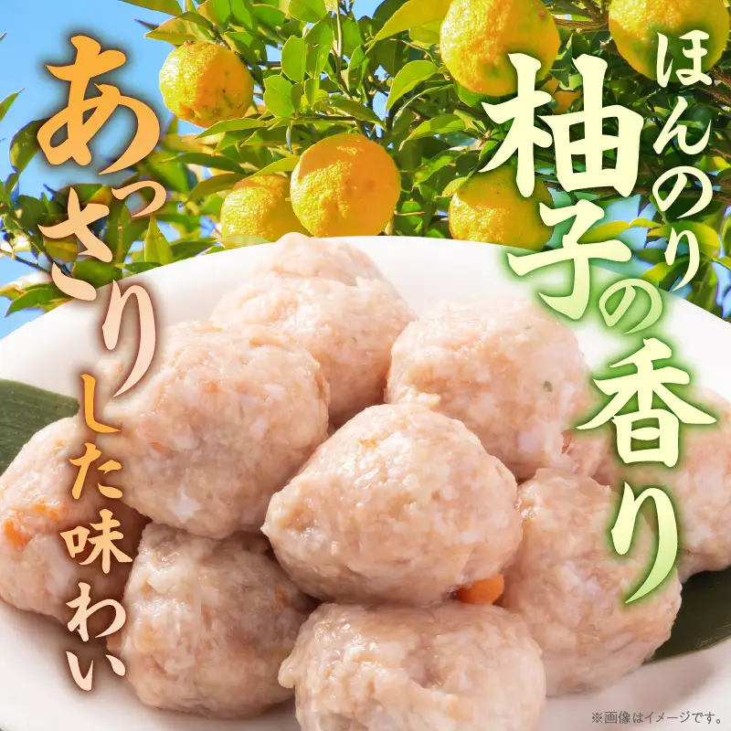 親鶏の脂がおいしい つみれ 合計108玉（12個入り×9袋） つみれ 鶏つみれ 親鳥 鶏肉 鶏 とりにく 粗挽き ミンチ 国産 柚子 ゆず 鍋 つみれ串 小分け お弁当 お惣菜 おかず 簡単 手軽 冷凍