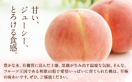 【2027年先行予約】秀品 和歌山の桃 約4kg