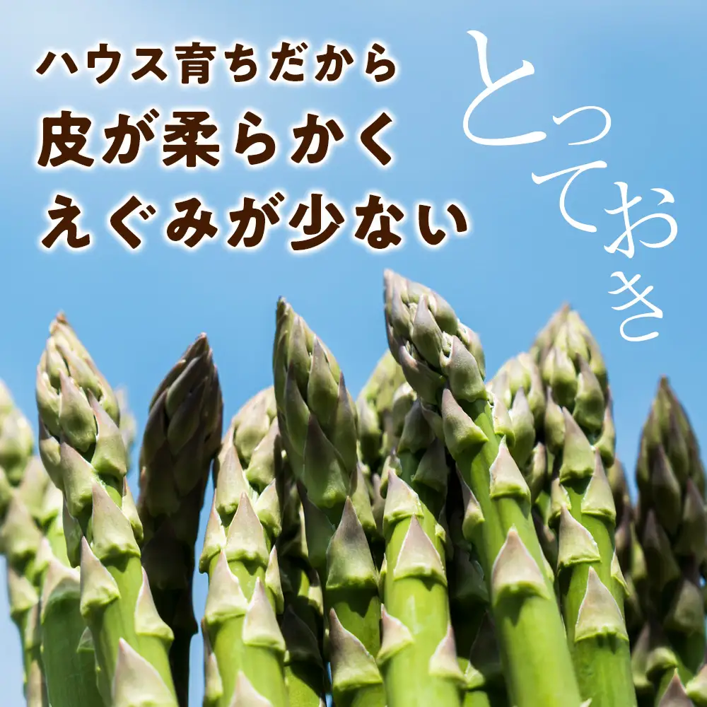 【2027年春発送】 ハウスグリーンアスパラ 1㎏ L～2Lアップ