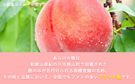 あら川の桃 秀品 約2kg(5玉～8玉)