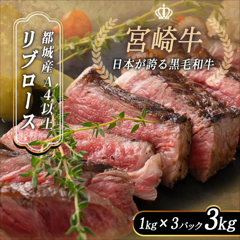 宮崎牛リブロースブロック3kg〔DI-2501〕_(都城市) 都城産宮崎牛 リブロースブロック ３kg 霜降り肉 ローストビーフ ステーキ ビーフカレー キャンプで豪快に 鉄板焼き 国産 ブランド牛 牛肉 ギフト 贈答用