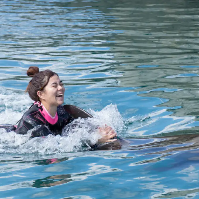 ドルフィンスイム２名（中学生以上）