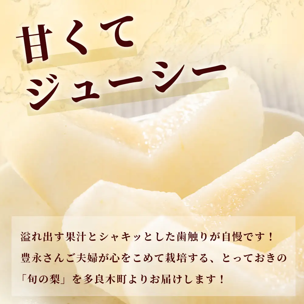 【2026年8月中旬～発送】豊永の 梨 約3kg 熊本県 070-0593