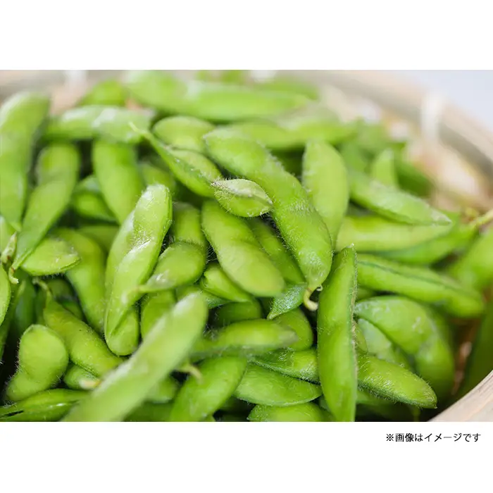 75E-19新潟県長岡産枝豆2.0kg【肴豆250g×8袋入り】