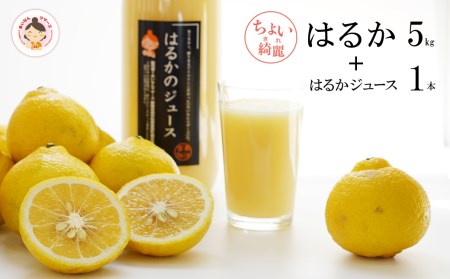 完熟 はるか 5kg はるか ジュース 1L 1本 セット 無添加 果汁 100% 柑橘 果物 国産 フルーツ 有名 愛媛 みかん 蜜柑 ブランド オレンジ 愛媛県産 果実 ビタミン 美味しい 発送期間：2023年3月下旬?