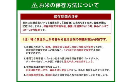 【新米受付・令和8年産米】新潟県岩船産「コシヒカリ5kg」と「こしいぶき5kg」の食べ比べセット（神林産地） NB4084 