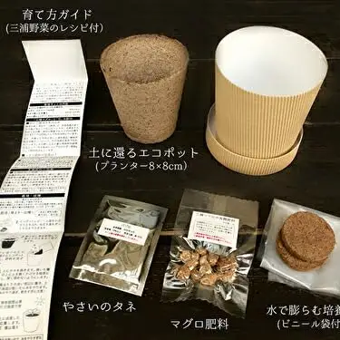 食彩GARDEN三浦やさい栽培キット＆旬野菜 M043-001 野菜 三浦野菜