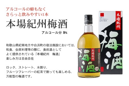紀州の梅酒　飲み比べ６本セット【prm003B】