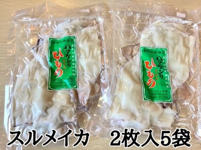 定置網のハマケン水産【スルメイカの一夜干し10枚☆無添加】熊野から全国の食卓へ☆2枚入り×5Ｐ【kmkn0221】