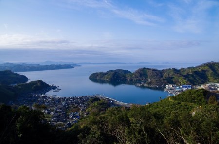 愛媛県明浜産 天晴みかんジュース（デコぽよ） 1本 AAN0003