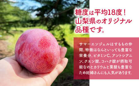 【☆先行予約☆2025年/令和7年発送分】 サマーエンジェル 山梨 サマーエンジェル すもも AV-20
