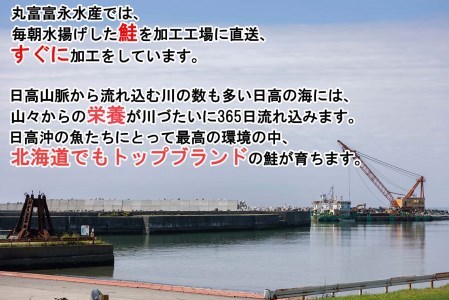 北海道産 網元特製 新巻鮭 半身2切れ 2.5kg 前後 