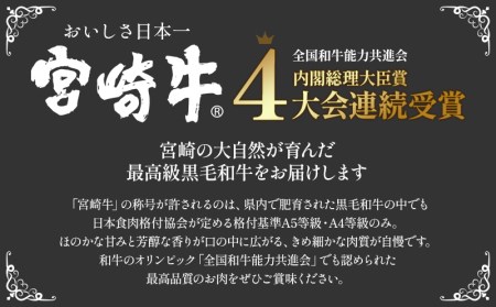 宮崎牛 サーロイン ステーキ スライス セット 計850g 平家の郷 詰め合わせセットB