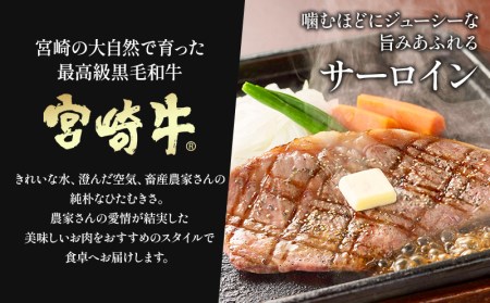 宮崎牛 豪華 3種 計1.15kg セット 平家の郷 詰め合わせセットC