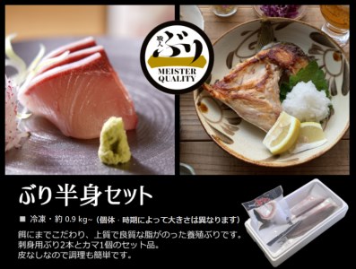 AQ-4711-202605／【鹿児島産ぶり】冷凍・ぶり半身セット（皮無ロイン背腹計2p、カマ1p）