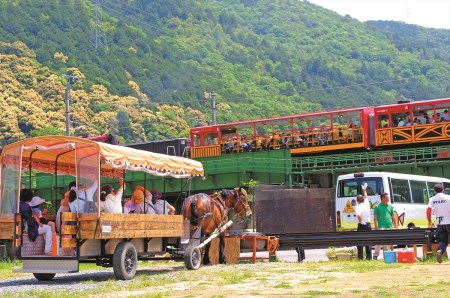 京馬車で行くトロッコ亀岡駅から保津川下り乗船場コース チケット 大人（13歳以上）2枚