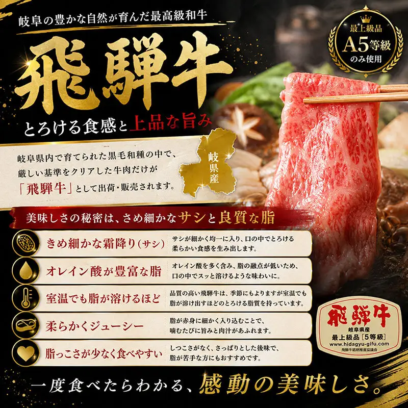 飛騨牛 牛肉 切り落とし 500g×4 計2kg A5 和牛 焼肉 もも肉 モモ バラ カルビ お肉 ブランド和牛 