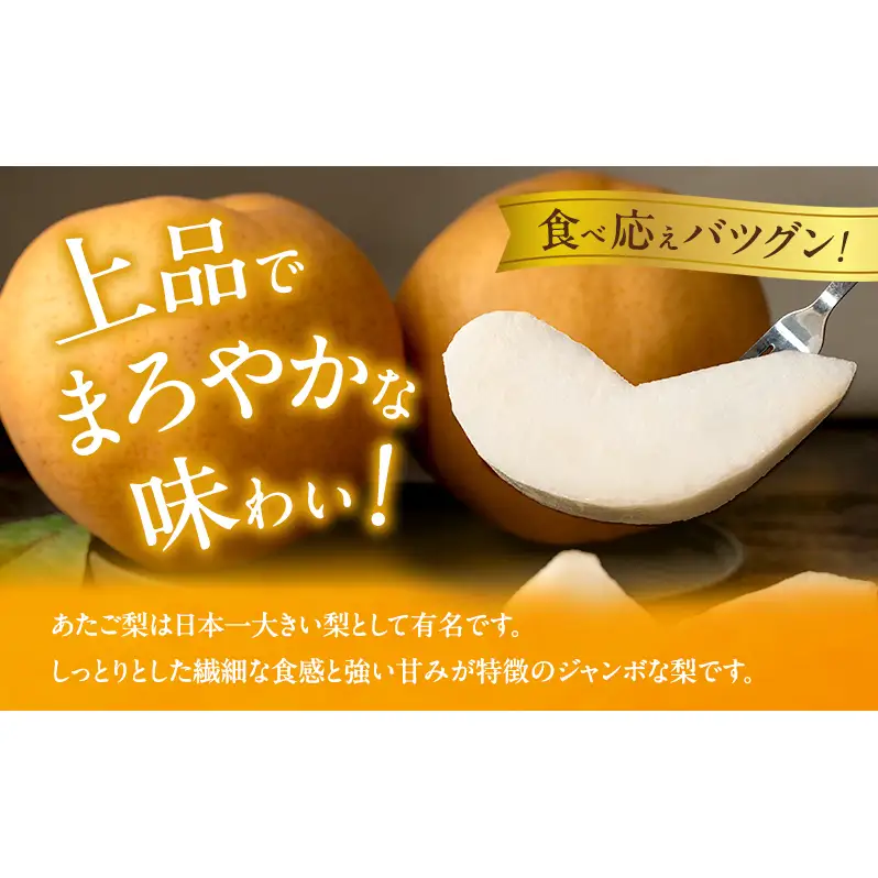 梨 2026年 備前横綱梨（あたご梨） 2玉 (1玉1～1.4kg）贈答箱  岡山県産 梨