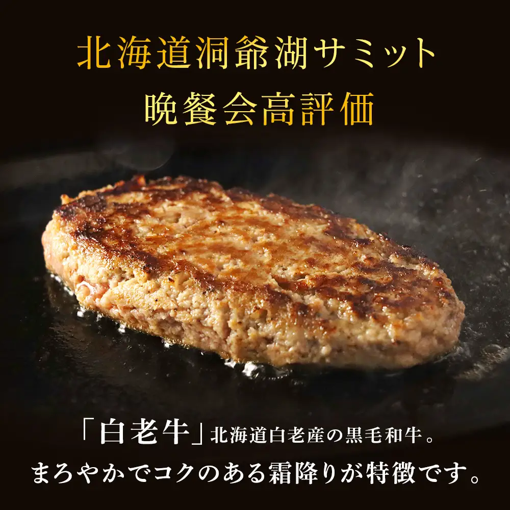 【5営業日以内発送】★大容量！合計1.65kg！★訳あり・牛の里ビーフハンバーグ(110ｇ5枚入）×3 AG058