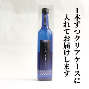 スペースポート～天ノ光～　500ml×2本セット【nkm019B】