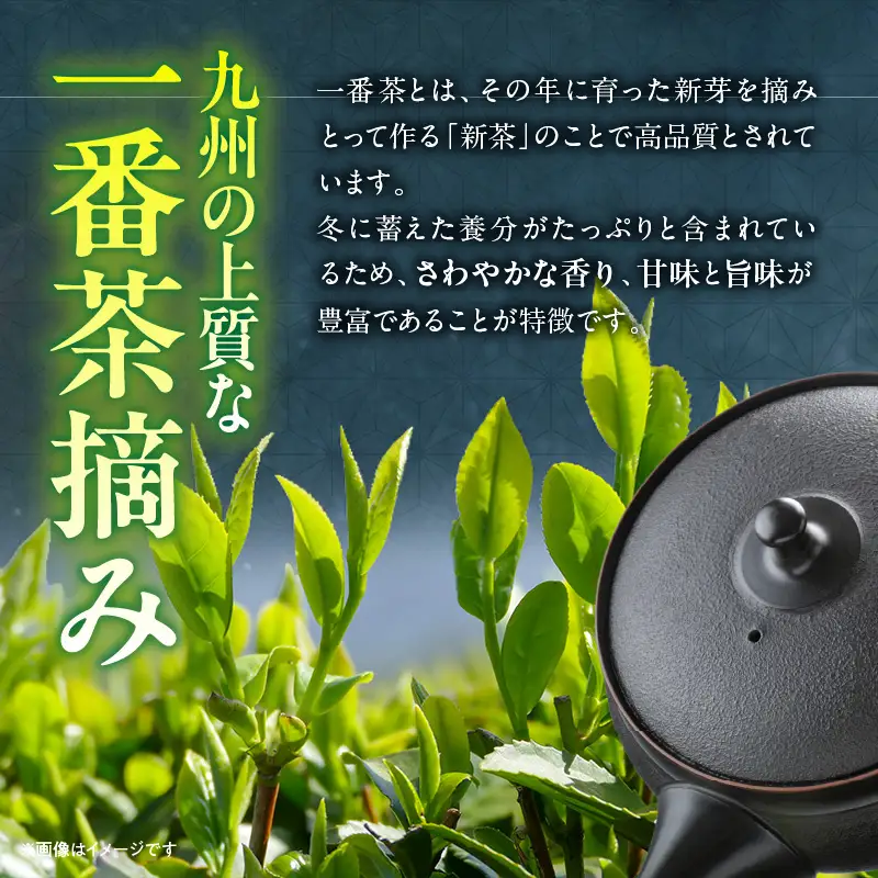 一番茶摘み緑茶ハレーすいせい1号(上煎茶)250g・2号(特上煎茶)250g 2本セット_B079-001