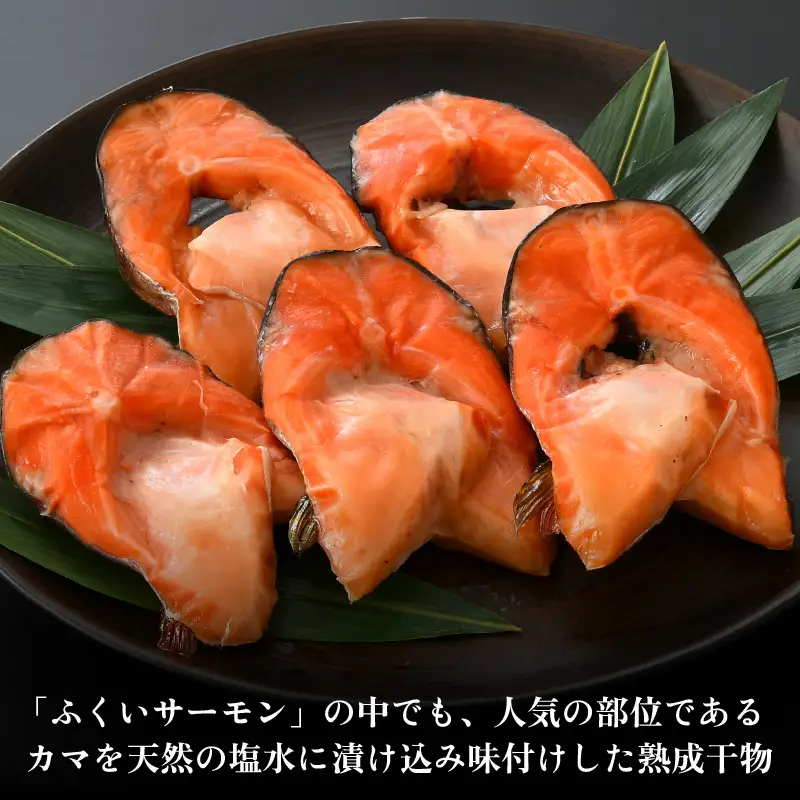 ふくいサーモン カマ干物 5パック ／ 鮭 サーモン お父さん おつまみ 朝食 魚介類 焼き魚 国産 個包装 数量限定  [aw002-a004]