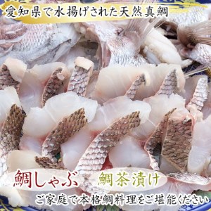 岬だより 贅沢すぎる!鯛しゃぶセット [雅] -出汁・ポン酢付き- [配送不可地域：離島]