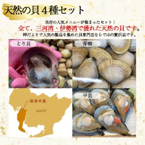 愛知県産 天然の貝4種セット [配送不可地域：離島]